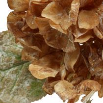 Kunstpflanze Hortensie vertrocknet Drylook Herbstdeko L33cm
