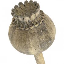 Kunststein Deko Mohnblume Antik Deko Braun Ø13cm L37,5cm