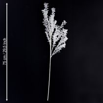 Artikel Kunstzweige Weiß Gefrostet Deko Winter 78cm Handgefertigt