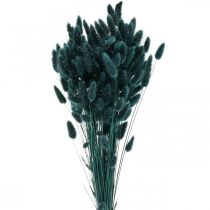 Lagurus Getrocknet Hasenschwanzgras Dunkelgrün 65-70cm 100g