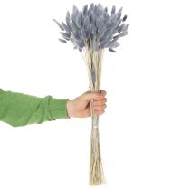 Artikel Getrocknetes Hasenschwanzgras Lagurus Grau 60 cm 75 g für Trockensträuße