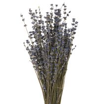 Artikel Lavendel Trockenblumen Deko Natur 100g 40cm - Natürliches Ambiente