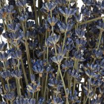 Artikel Lavendel Trockenblumen Deko Natur 100g 40cm - Natürliches Ambiente