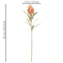 Artikel Kunstblume Protea Leucadendron Kunststoff 65cm Creme Gelb Orange Set 3St Innenbereich