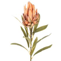 Artikel Kunstblume Protea Leucadendron Kunststoff 65cm Creme Gelb Orange Set 3St Innenbereich