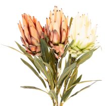 Artikel Kunstblume Protea Leucadendron Kunststoff 65cm Creme Gelb Orange Set 3St Innenbereich