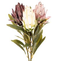 Artikel Protea Kunstblume Leucadendron 100 cm 3-teilig Creme Bordeaux Rosa