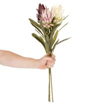 Artikel Protea Kunstblume Leucadendron 100 cm 3-teilig Creme Bordeaux Rosa