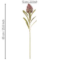 Artikel Protea Kunstblume Leucadendron 100 cm 3-teilig Creme Bordeaux Rosa