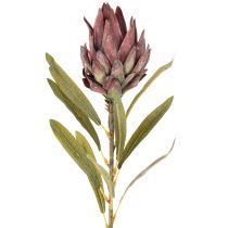 Artikel Protea Kunstblume Leucadendron 100 cm 3-teilig Creme Bordeaux Rosa