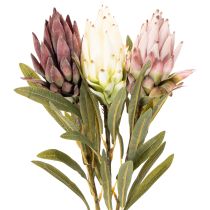 Artikel Protea Kunstblume Leucadendron 100 cm 3-teilig Creme Bordeaux Rosa