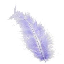 Artikel Lila Flauschige Federn Bastelbedarf 5–10cm 20g