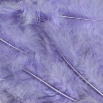 Artikel Lila Flauschige Federn Bastelbedarf 5–10cm 20g