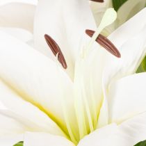 Artikel Lilien Kunstblume mit 6 weißen Blüten 66 cm Kunststoff