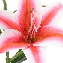 Artikel Künstliche Lilie 67cm im 2er-Set für elegante Dekoration in Rosa