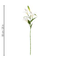 Artikel Künstliche Lilien 66 cm Weiß 2 Stück - Elegante Deko für Wohn- und Eventbereiche