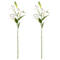 Artikel Künstliche Lilien 66 cm Weiß 2 Stück - Elegante Deko für Wohn- und Eventbereiche