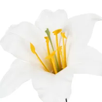 Artikel Kunstblume Lilie weiß mit Draht 12cm Ø 35cm 5St