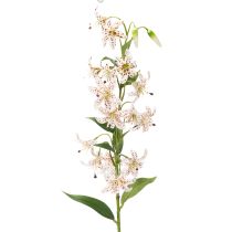 Artikel Künstliche Lilie 82 cm – Realistische Blumenstiele im 2er-Set für elegante Dekoration