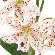 Artikel Künstliche Lilie 82 cm – Realistische Blumenstiele im 2er-Set für elegante Dekoration