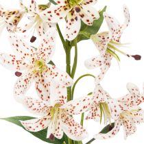 Artikel Künstliche Lilie 82 cm – Realistische Blumenstiele im 2er-Set für elegante Dekoration