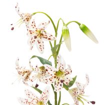 Artikel Künstliche Lilie 82 cm – Realistische Blumenstiele im 2er-Set für elegante Dekoration
