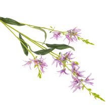 Artikel Triteleia Kunstblume Lila 110cm – Elegante Dekoration in 2er-Set