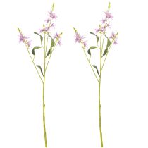 Artikel Triteleia Kunstblume Lila 110cm – Elegante Dekoration in 2er-Set