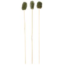 Artikel Luffa am Stiel dekorativ dunkelgrün 5-7cm für Floristen natürliche Akzente 25 Stk