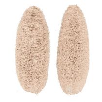 Artikel Luffa groß gebleicht 20 St