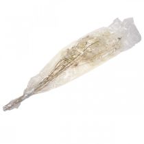 Artikel Lunaria Trockenblumen Mondviole Silberblatt getrocknet 60-80cm 30g