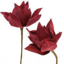 Künstliche Magnolie Rot Kunstblume Foam Blumendeko Ø10cm 6St