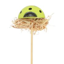 Artikel Marienkäfer Deko Blumenstecker Holz Farbig 3,5cm 24 St für Floristen