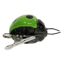 Marienkäfer mit Clip 4,5cm Rot, Grün 6St