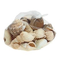 Artikel Maritim-Deko Muschelmix natur 400g