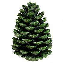 Artikel Maritima Zapfen 10cm - 16cm Grün gefrostet 12 St