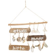 Artikel Treibhölzer und Muscheln Wanddekoration 50 cm Innenbereich
