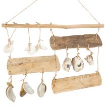 Artikel Treibhölzer und Muscheln Wanddekoration 50 cm Innenbereich