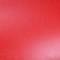 Artikel Markierspray Rot 400ml schnell trocknendes Kreidespray für kreative Floristikdeko