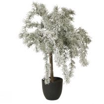 Artikel Mini Weihnachtsbaum Zeder Beschneit Künstlich im Topf H60cm - Weihnachtsdeko