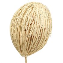 Mintolla Ball gebleicht 8cm - 10cm L46cm 6St