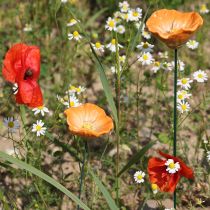 Artikel Keramik-Blumenstecker Mohn – Dekorative Akzente für Garten und Balkon, 42 cm, 4 Stück