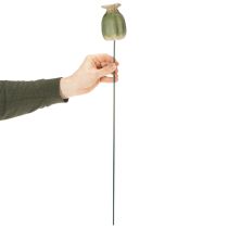 Artikel Mohnkapsel Gartenstecker 60 cm aus Keramik und Metall im 2er-Set für stilvolle Gartendekoration