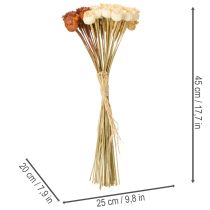 Artikel Künstliche Mohnkapseln Bund dreifarbig 40 cm 45 Stück Kunststoff