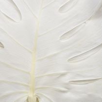 Artikel Gebleichte Monstera Blätter 40cm 5er-Set für elegante Dekorationen