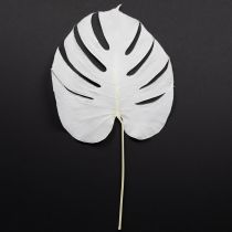 Artikel Gebleichte Monstera Blätter 40cm 5er-Set für elegante Dekorationen