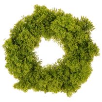 Artikel Mooskranz aus Kunststoff 28cm Grün für Innen- und geschützte Außenbereiche