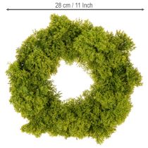 Artikel Mooskranz aus Kunststoff 28cm Grün für Innen- und geschützte Außenbereiche