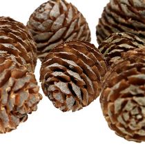Murii Zapfen Natur 500g
