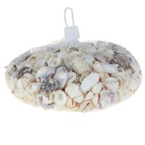 Artikel Muschel Deko Natur Mini Herzmuscheln Schneckenhäuser 340g